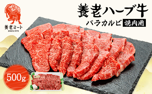 養老ハーブ牛　バラカルビ　焼肉用　500g【配送不可地域：離島】【1273628】