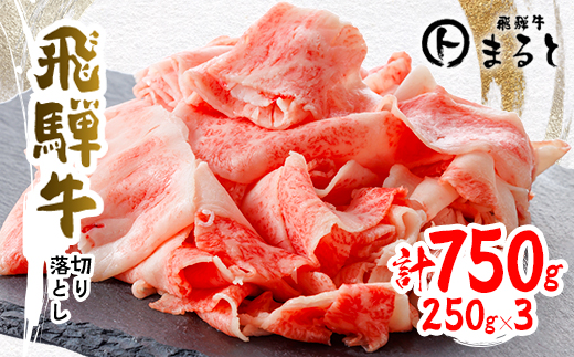 【飛騨牛】切り落とし250g×3　合計750g【配送不可地域：離島】【1731551】
