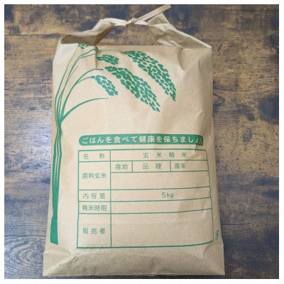 岐阜県産ハツシモ精米計5kg【1696563】