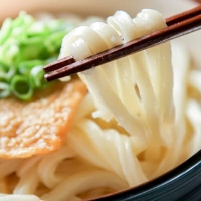 【糖質オフ 50%】低糖質麺 うどん 2700g(約27人前)【1256465】