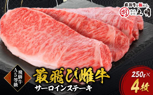 【最飛び雌牛】飛騨牛A5等級サーロインステーキ　250g×4枚【配送不可地域：離島】【1520146】