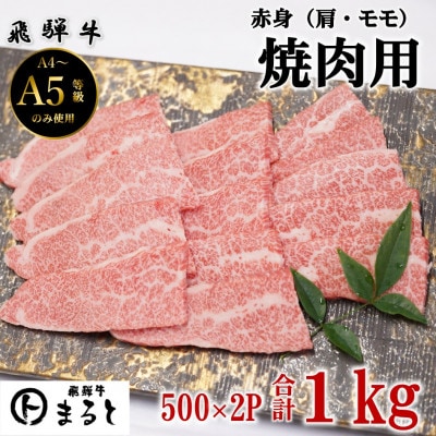 【飛騨牛】赤身焼肉用　500g×2パック　(合計1kg)【配送不可地域：離島】【1731547】
