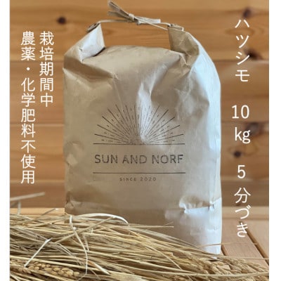 【令和7年産】初霜(源種)5分づき10kg　(栽培期間中農薬・化学肥料不使用)【1721466】