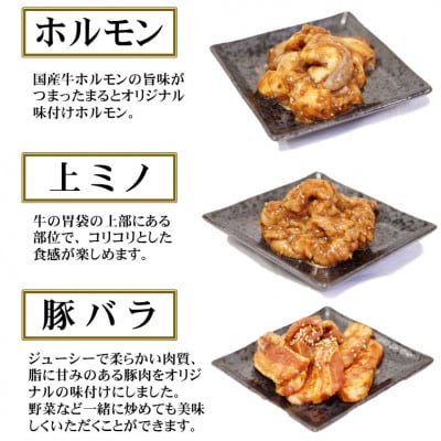 【飛騨牛】焼肉4種セット　ロース・肩ロースと味付けホルモンなど　合計1kg【配送不可地域：離島】【1616704】