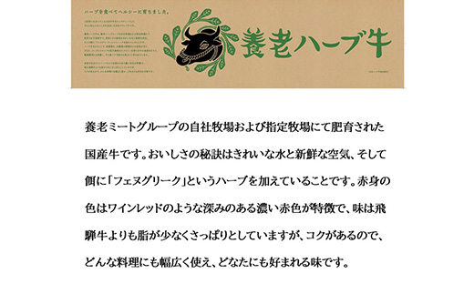 é€èããŒãçãããŒã¹ãŸãã¯è©ããŒã¹ãçŒèçšã500gãé
éäžå¯å°åïŒé¢å³¶ãã1273633ã