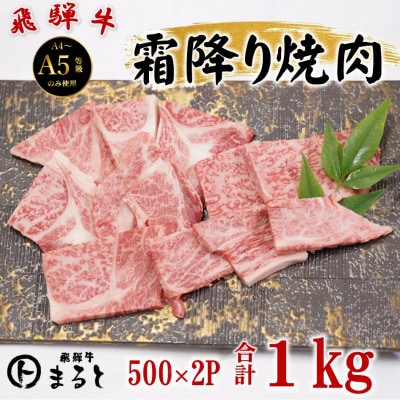 飛騨牛霜降り焼き肉牛脂付き　500g×2パック　(合計1kg)【配送不可地域：離島】【1735701】
