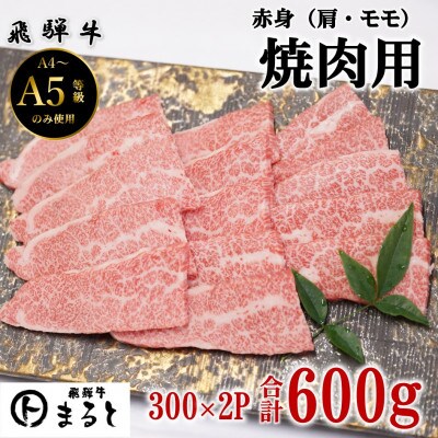 【飛騨牛】赤身焼肉用　300g×2　合計600g【配送不可地域：離島】【1726925】