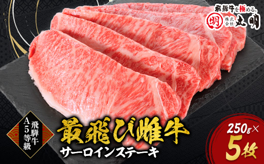 【最飛び雌牛】飛騨牛A5等級サーロインステーキ　250g×5枚【配送不可地域：離島】【1520147】