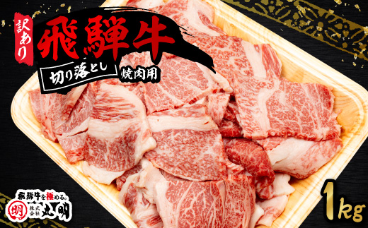 【訳あり】飛騨牛 焼肉　切り落とし 1kg【配送不可地域：離島】【1749005】