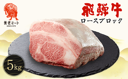 飛騨牛 ロースブロック 5kg【配送不可地域：離島】【1622933】