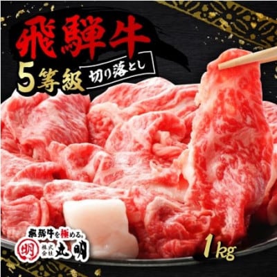 飛騨牛5等級　切り落とし用途いろいろ　1kg【配送不可地域：離島】【1668213】