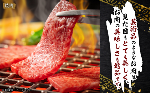 飛騨牛5等級　ミスジ・三角バラ　焼肉用　500g【配送不可地域：離島・北海道・沖縄県】【1043501】