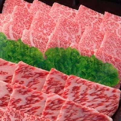 【飛騨牛】肉厚ロースと霜降りカルビの詰め合わせ 合計800g【配送不可地域：離島】【1046752】