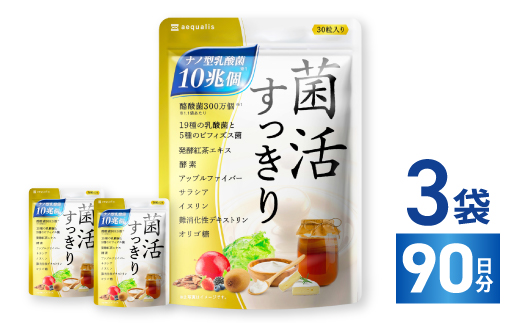 乳酸菌サプリメント ナノ型乳酸菌10兆個&ビフィズス菌配合 菌活すっきり 3袋(3ヶ月分)【1495262】
