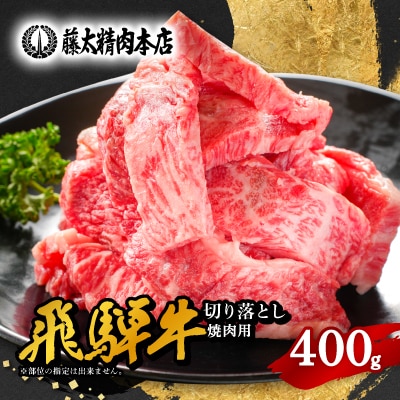 【飛騨牛】切り落し焼肉用【400g/岐阜県産】【配送不可地域：離島】【1107365】