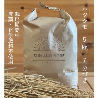 【令和7年産】初霜(源種)　7分づき5kg　(栽培期間中農薬・化学肥料不使用)【1721470】