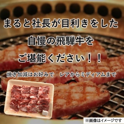 【飛騨牛】カルビ焼肉用 計300g　黒毛和牛【配送不可地域：離島】【1745581】
