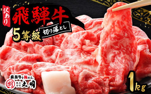 【訳あり】飛騨牛5等級　切り落とし用途いろいろ　1kg【配送不可地域：離島】【1668213】