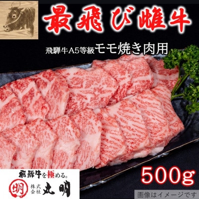 【最飛び雌牛】飛騨牛A5等級モモ焼き肉用　500g【配送不可地域：離島】【1520153】