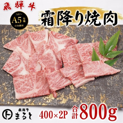 飛騨牛霜降り焼き肉 400g×2パック(合計800g)【配送不可地域：離島】【1735700】