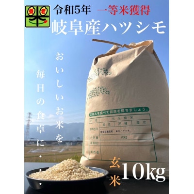 令和6年産　岐阜ハツシモ　10kg　玄米【1148641】