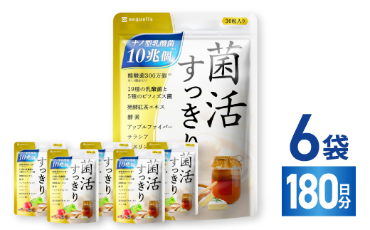 乳酸菌サプリメント ナノ型乳酸菌10兆個&ビフィズス菌配合 菌活すっきり 6袋(6ヶ月分)【1495264】