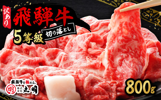 【訳あり】飛騨牛5等級　切り落とし用途いろいろ　800g【配送不可地域：離島】【1668211】