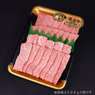 【最飛び雌牛】飛騨牛A5等級ミスジ・三角バラ焼肉用　300g【配送不可地域：離島】【1520158】