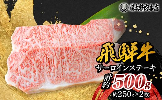 【飛騨牛】サーロインステーキ 2枚入り 計約500g (250g×2枚) 岐阜県産 黒毛和牛【配送不可地域：離島】【1420282】