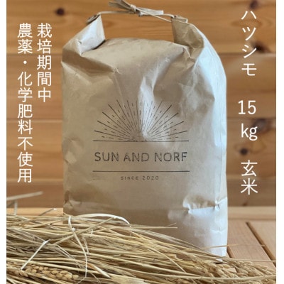 【令和7年産】初霜(源種)　玄米15kg　(栽培期間中農薬・化学肥料不使用)【1721461】