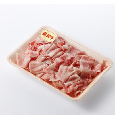 【飛騨牛】切り落とし250g×4　合計1kg【配送不可地域：離島】【1731545】