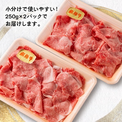 【毎月定期便】飛騨牛　切り落とし250g×2パック　すきやき・しゃぶしゃぶ・牛丼など全6回【配送不可地域：離島】【4085696】