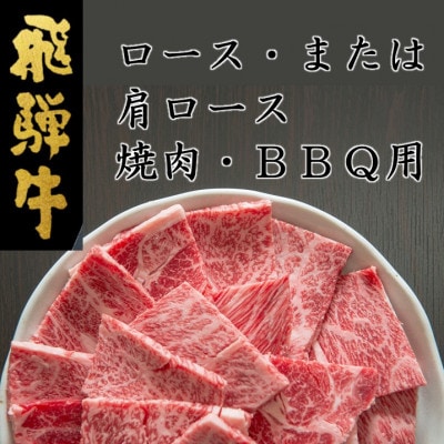 飛騨牛ロースまたは肩ロース600g (焼肉・BBQ用)【配送不可地域：離島】【1042664】