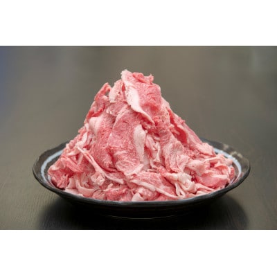 飛騨牛 切り落とし 1.4kg(700g×2P) 訳あり 養老ミート【配送不可地域：離島】【1725007】