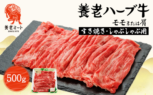養老ハーブ牛　モモまたは肩　すき焼き・しゃぶしゃぶ両用　500g【配送不可地域：離島】【1273629】