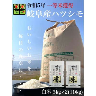 岐阜県養老町産　令和6年産　ハツシモSL　一等米　白米　5kg×2(10kg)【1499391】