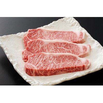 最高5等級 飛騨牛 厚切りロースステーキ 900g 300g×3枚 養老ミート【配送不可地域：離島】【1724992】