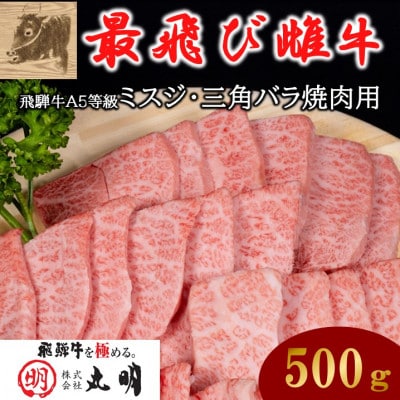 【最飛び雌牛】飛騨牛A5等級ミスジ・三角バラ焼肉用　500g【配送不可地域：離島】【1520156】