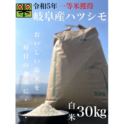 令和6年産　岐阜ハツシモ　30kg　白米【1361880】