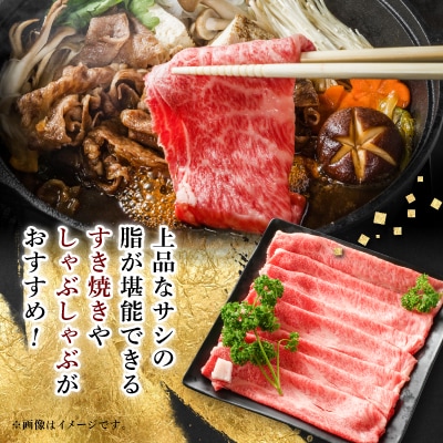 【飛騨牛】ロース・肩ロース スライス500g(すき焼き/しゃぶしゃぶ)【配送不可地域：離島】【1071810】