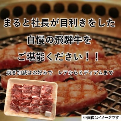 飛騨牛カルビ焼肉用 計1000g(500g×2パック)　小分け　牛脂付き【配送不可地域：離島】【1745858】