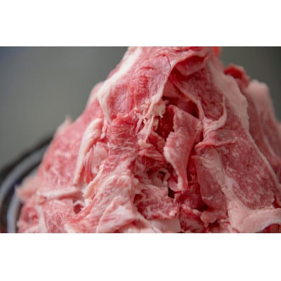 飛騨牛 切り落とし 1.4kg(700g×2P) 訳あり 養老ミート【配送不可地域：離島】【1725007】