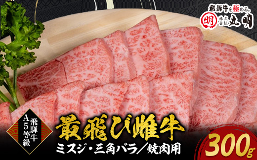 【最飛び雌牛】飛騨牛A5等級ミスジ・三角バラ焼肉用　300g【配送不可地域：離島】【1520158】