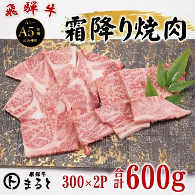 飛騨牛霜降り焼き肉 300g×2(合計600g)【配送不可地域：離島】【1735699】