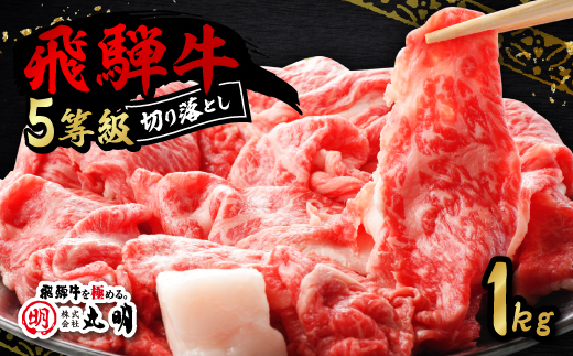 飛騨牛5等級　切り落とし用途いろいろ　1kg【配送不可地域：離島】【1668213】