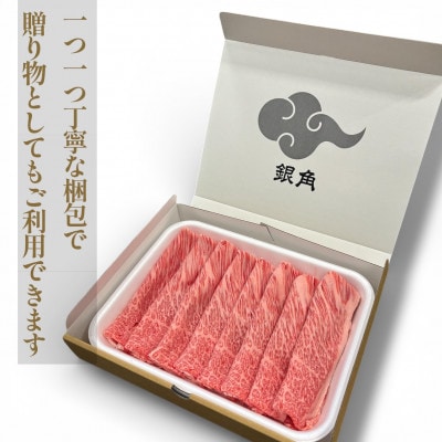 飛騨牛【白銀ロース】すき焼き・しゃぶしゃぶ用500g【配送不可地域：離島】【1681895】