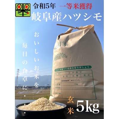 令和6年産　岐阜ハツシモ　5kg　玄米【1148639】