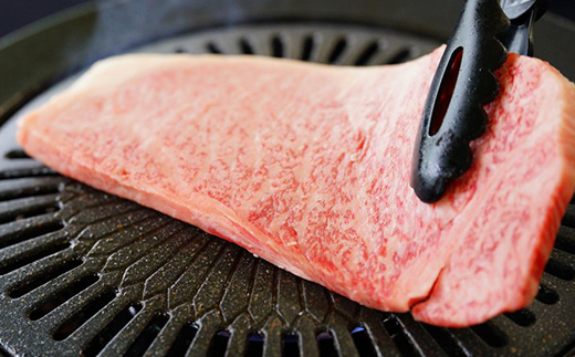 飛騨牛ロースステーキ用 200g×2枚【配送不可地域：離島】【1042666】