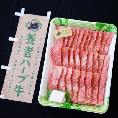 養老ハーブ牛　バラカルビ　焼肉用　500g【配送不可地域：離島】【1273628】