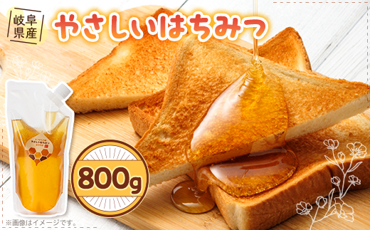 岐阜県産 やさしいはちみつ800g袋入り【1501898】